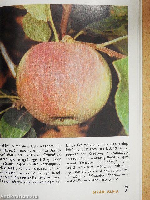 A gyümölcsfajtákról