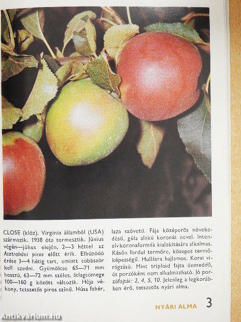 A gyümölcsfajtákról