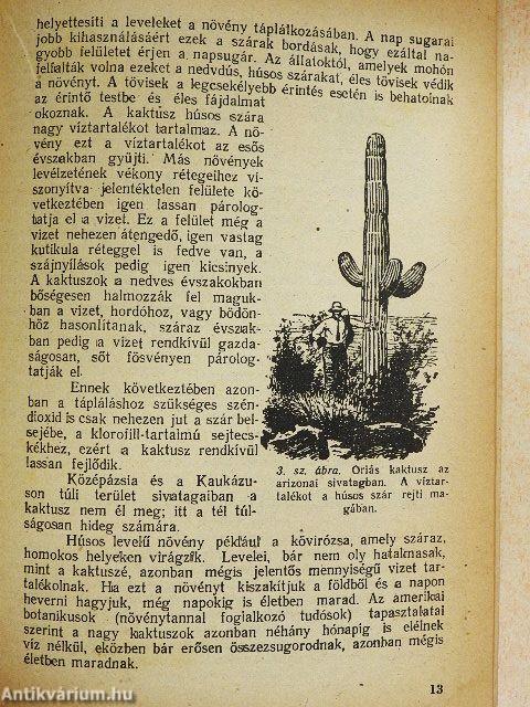 Mik az aszályok okai és hogyan harcoljunk ellenük