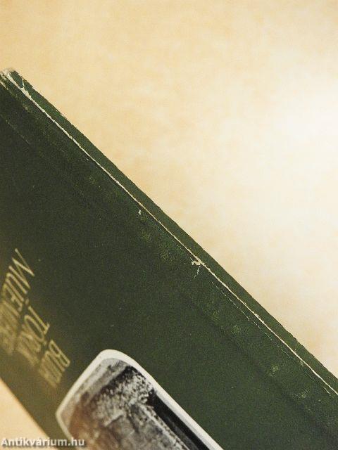 Buda török műemlékei