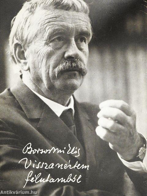 Visszanéztem félutamból