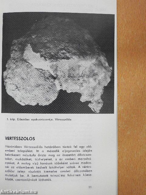 Magyarország népeinek története az őskőkortól a honfoglalásig