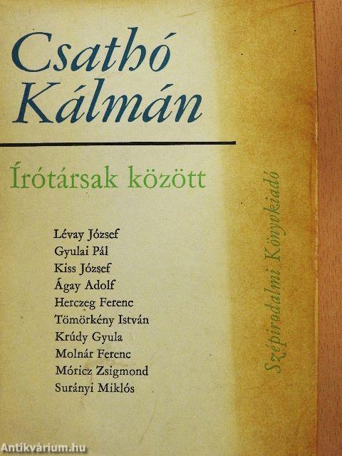 Írótársak között