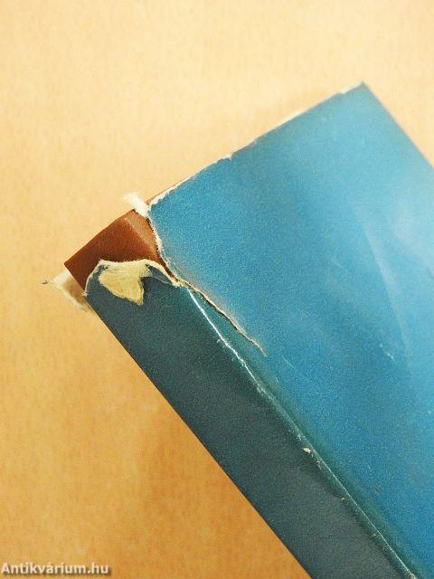 Írótársak között