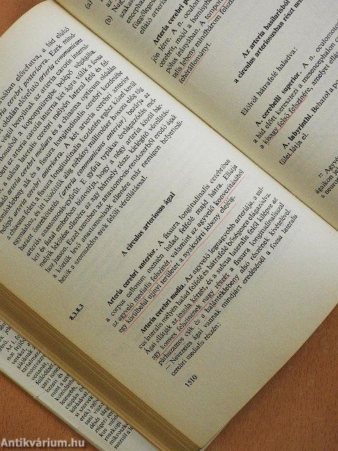 Functionalis anatomia 3.