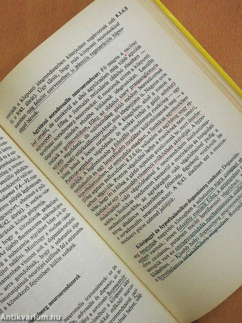 Functionalis anatomia 3.