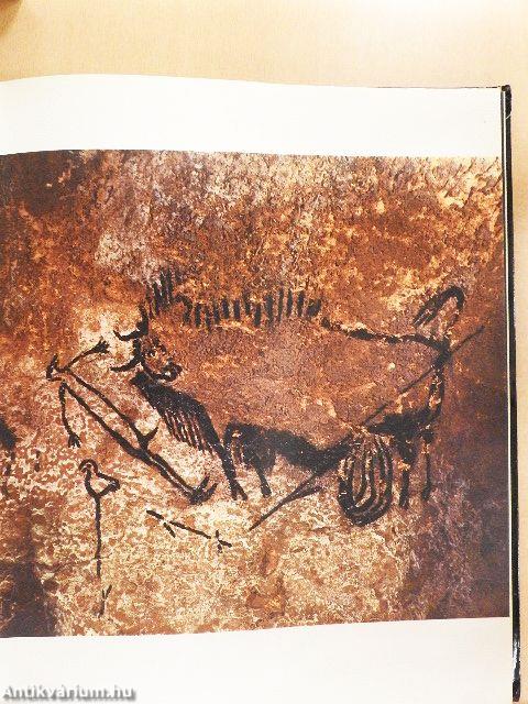 Művészet dióhéjban ötven remekmű alapján