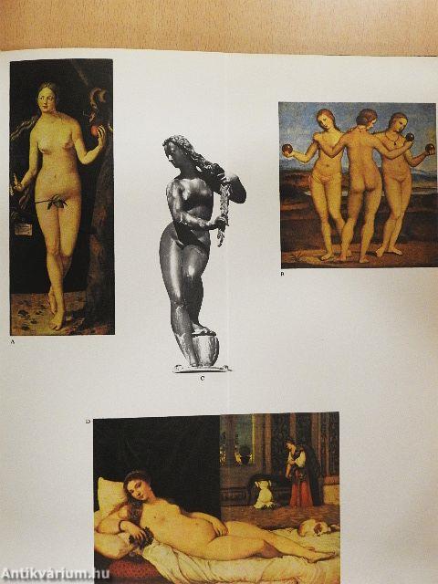 Művészet dióhéjban ötven remekmű alapján