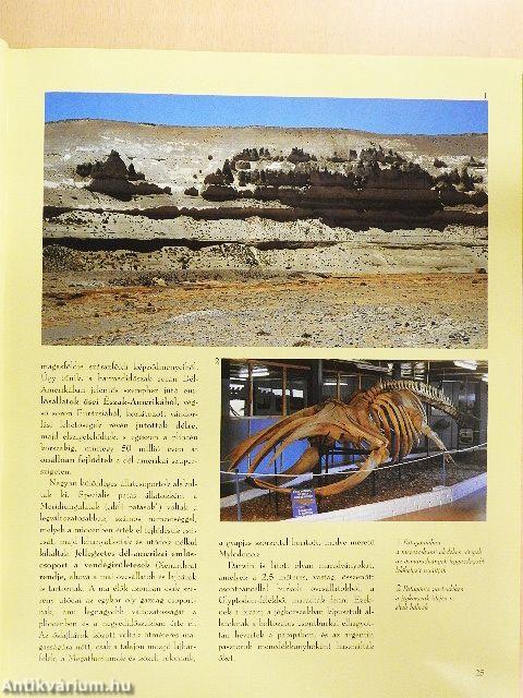 Dél-Amerika - CD-vel