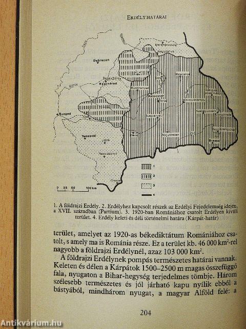 Térképezett történelem