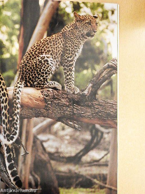 National Geographic April 2007