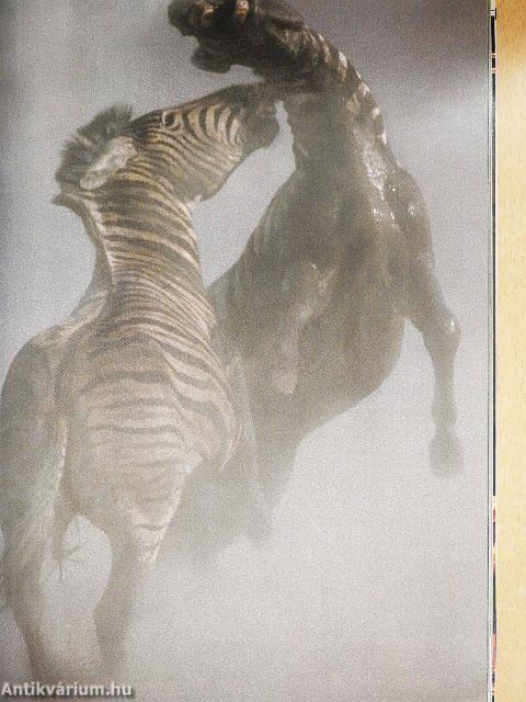 National Geographic July 2003