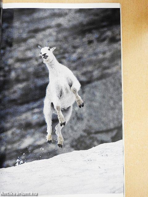 National Geographic December 1994