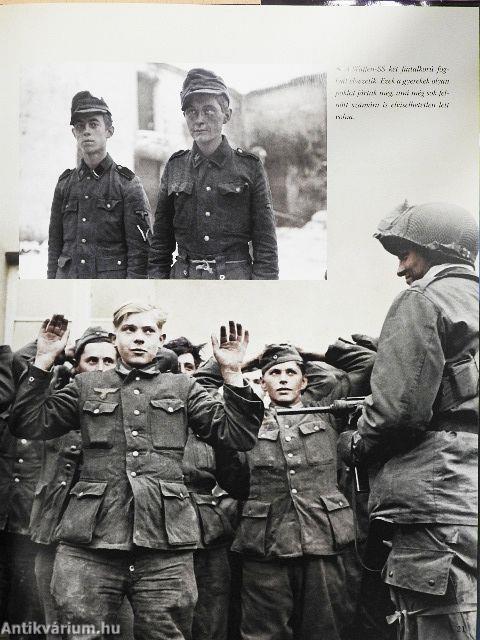 A tengelyhatalmak bukása