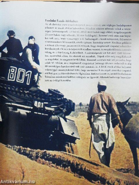 Vereség és kapituláció