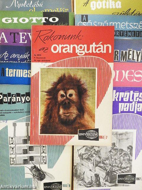 Univerzum 1964-1967 (vegyes számok) (12 db)