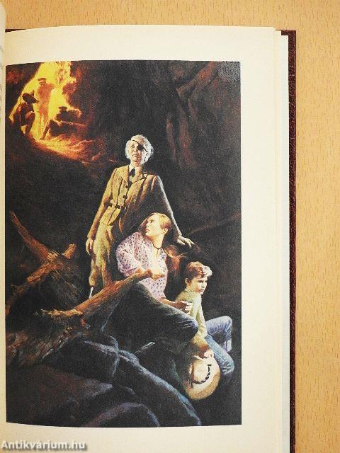 Flug ins Ungewisse/Der Junge und das Meer/Liebe Deinen Nächsten/Veronikas Vermächtnis