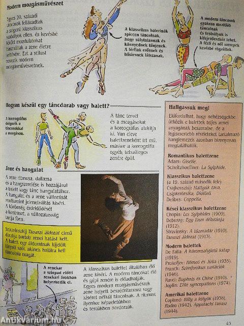 Bevezetés a zene világába