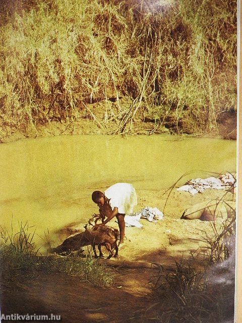 Szafári a Kilimandzsáró alatt