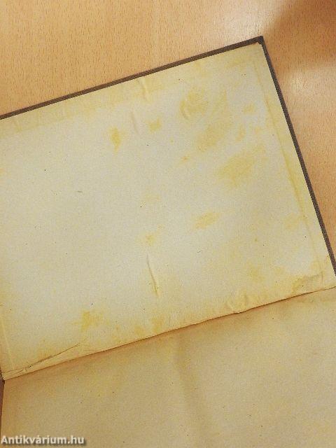 Húsz évszázad viharában