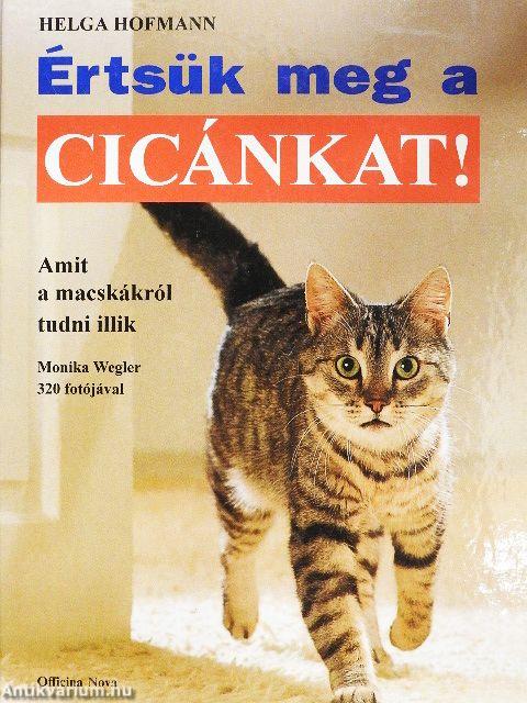 Értsük meg a cicánkat!