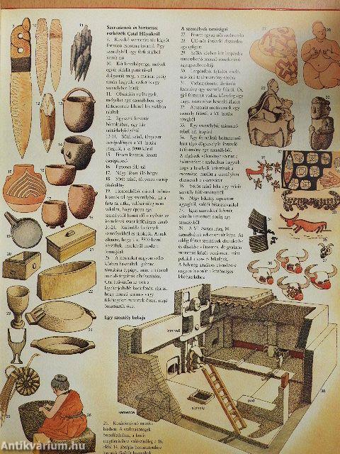 Az első civilizációk