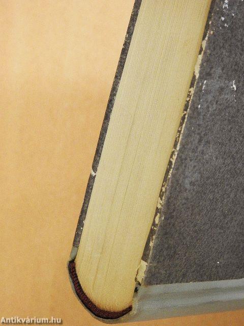 Kirándulás Oroszországba/Esszék