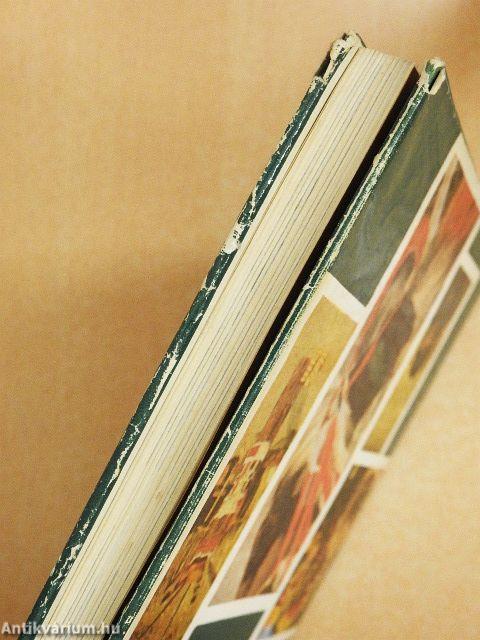 Brazília őserdeiben