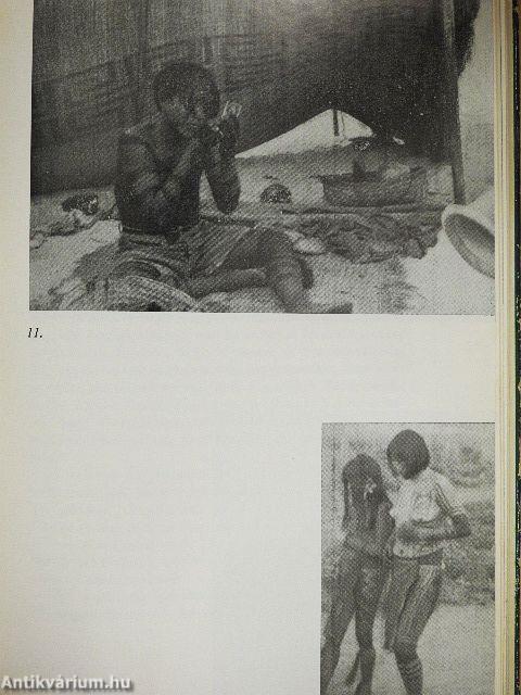 Brazília őserdeiben