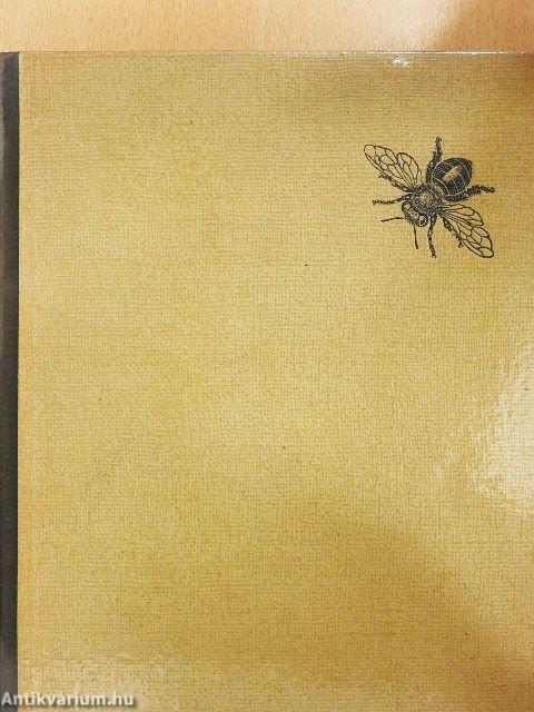 Rovarok közelről...