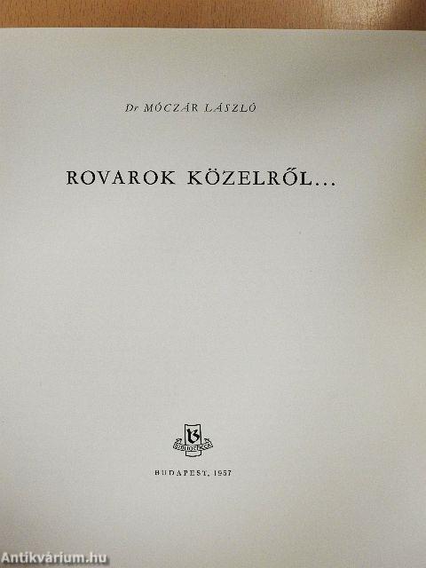 Rovarok közelről...