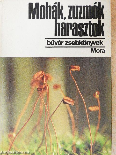 Mohák, zuzmók, harasztok