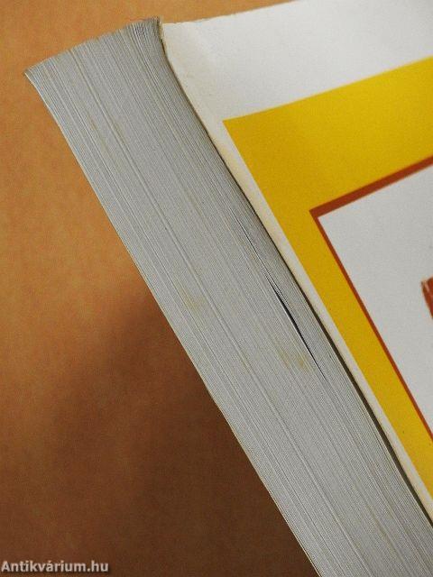 A pedagógusmesterség gyakorlati kérdései