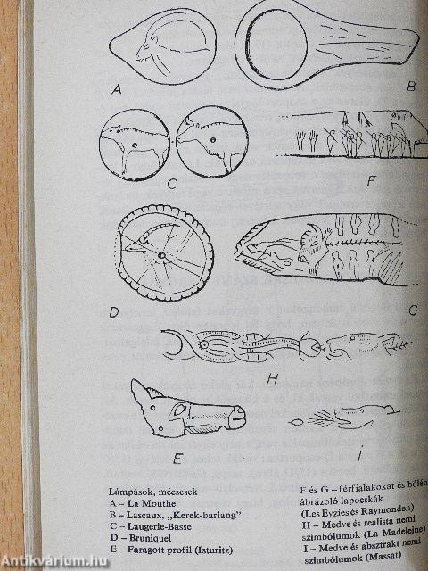 Az őstörténet kultuszai