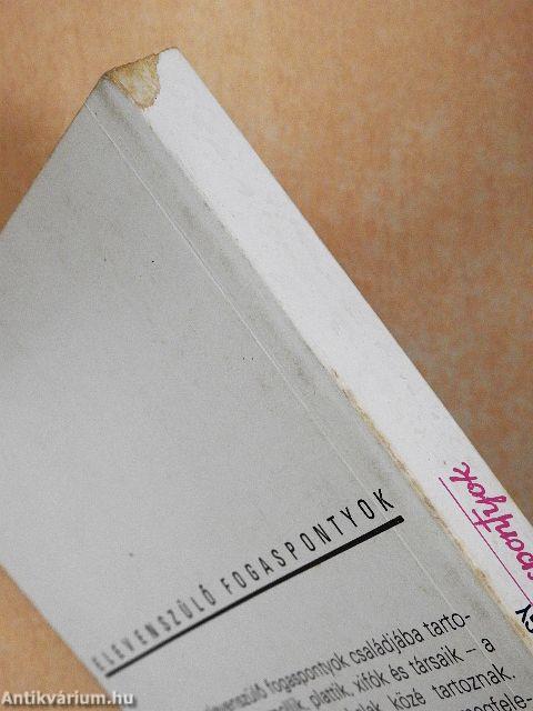 Elevenszülő fogaspontyok