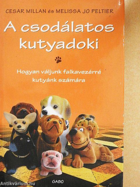 A csodálatos kutyadoki
