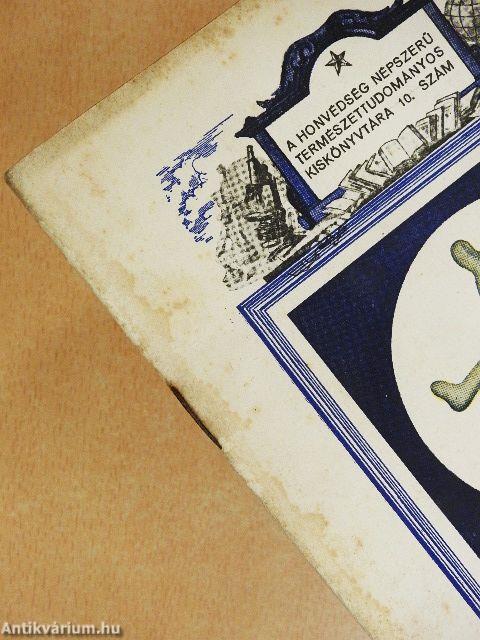 Élő és élettelen világ