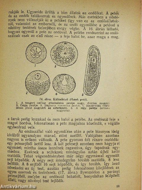 Élő és élettelen világ