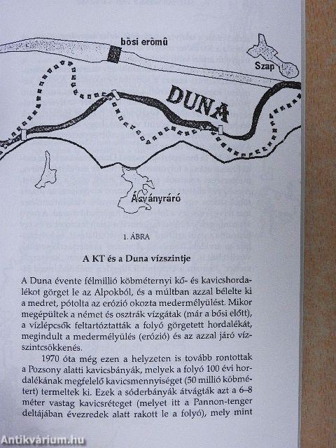 Magyar Szemle 1999. június