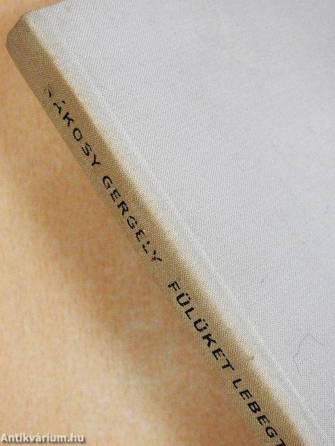 Fülüket lebegtető elefántok