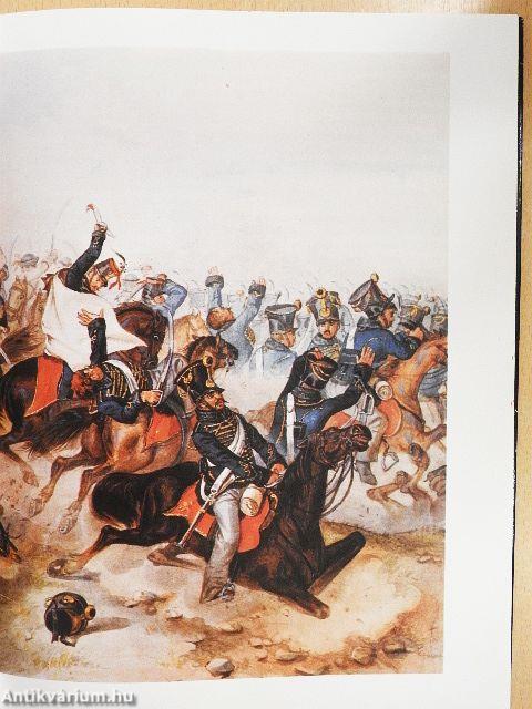 A szabadságharc kilenc nagy csatája