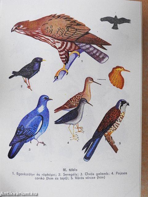 A természet kalendáriuma