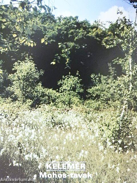 Kelemér - Mohos-tavak