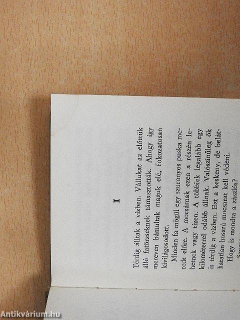 Fábián Bálint találkozása Istennel