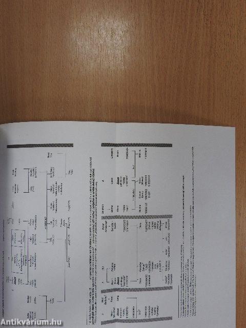 Léptékváltó társadalomtörténet