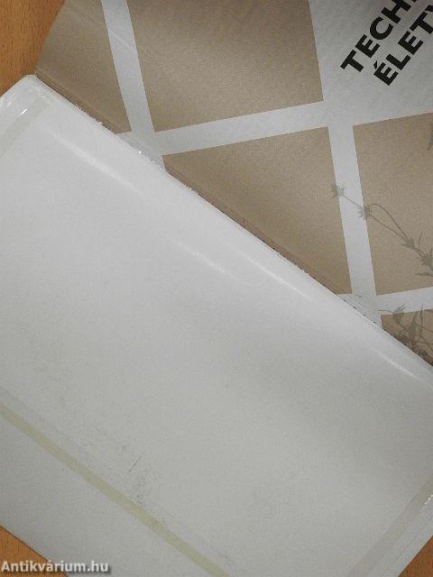 Technika és életvitel 6.