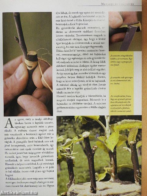 A praktikus kerti naptár