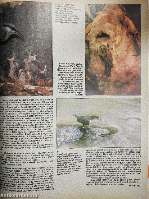 Nimród 1982. (nem teljes évfolyam)