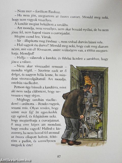 Lesz nemulass, Findusz!