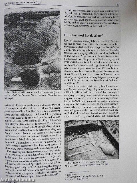 "Quasi liber et pictura"